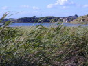 From the salt marshes toward Alnmouth at high tide